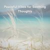 Download track Peaceful Vibes For Soothing Thoughts, Pt. 8
