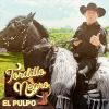 Download track La Muerte Del Tordillo Negro