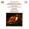 Download track 16. Tafelmusik: Concerto For Two Horns In E: Maestoso