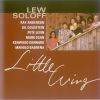 Download track Little Wing