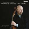 Download track Fantasia No. 3 For Viola Da Gamba In E Minor, TWV 4028 I. Largo