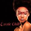 Download track Exotic Chill