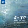 Download track Piano Sonata No. 16 In A Minor, Op. 42, D. 845: IV. Rondo. Allegro Vivace - Trio. Un Poco Più Lento