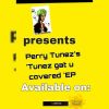 Download track Perry Tunez -Baddest Boy Cover