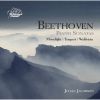 Download track 02 - Piano Sonata No. 14 In C Sharp Minor, Op. 27 No. 2 Moonlight - II. Allegretto
