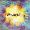 Download track The Awakening