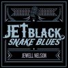 Download track Jet Black Snake Blues