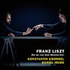 Download track Liszt: Du Bist Wioe Eine Blume, S. 287B