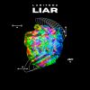 Download track Liar (Radio Edit)