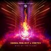 Download track Rise Of The Flame (Original Mix)