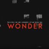 Download track Wonder