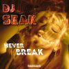 Download track Never Break
