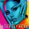 Download track Never Let Me Go (Extended Mix)