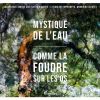Download track Comme La Foudre Sur Les Os: VIII. L'enfoui'