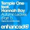 Download track Autumn Leaves (Original Mix)