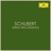 Download track Piano Sonata No. 21 In B Flat Major, D. 960: 3. Scherzo (Allegro Vivace Con Delicatezza)