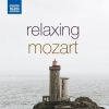 Download track Violin Sonata No. 26 In B-Flat Major, K. 378 II. Andantino Sostenuto E Cantabile