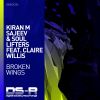 Download track Broken Wings (Extended Mix)