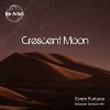 Download track Crescent Moon (Sebastian Davidson Remix)