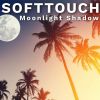 Download track Moonlight Shadow (Extended Mix)
