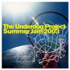 Download track Summer Jam 2003 (DJ F. R. A. N. K. 's Dub)