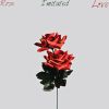 Download track A Rose