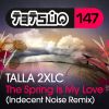 Download track The Spring Is My Love (Indecent Noise Remix)