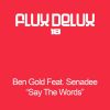 Download track Say The Words (Ben Gold'S Dub)