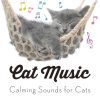 Download track Soft Music For Pets