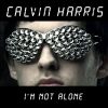 Download track I'M Not Alone (Instrumental)