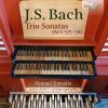 Download track 8. Organ Sonata No. 3 In D Minor, BWV 527- II. Adagio E Dolce