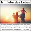 Download track Heut' Abend Hab' Ich Kopfweh