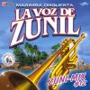 Download track Zuni - Mix Marimba Pura: Cuando Cae La Lluvia / Las Sandalias Del Hermano Pedro / Qué Te Ha Dado Esa Mujer
