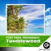 Download track Tumbleweed (Original Mix)