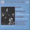 Download track Schubert: Piano Trio No. 1 In B Flat Major D. 898 Op. 99: I. Allegro Moderato