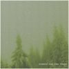 Download track Forest For The Trees