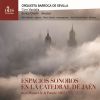 Download track Miserere Mei, Deus 1726 - Salmo A 18 Voces En 7 Coros: Ecce Enim In Iniquitatibus Conceptus Sum