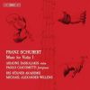 Download track 05 - Violin Sonata No. 3 In G Minor, Op. 137 No. 3, D. 408- II. Andante