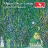 Download track Schubert Piano Sonata In D Major, Op. 53, D. 850 Gasteiner II. Con Moto