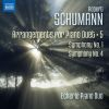 Download track Symphony No. 4 In D Minor, Op. 120 (Version For Piano 4-Hands): IV. Langsam - Lebhaft