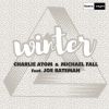 Download track Winter (Extended Mix)