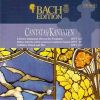Download track Erhöhtes Fleisch Und Blut BWV 173 - I Recitativo (Tenore)
