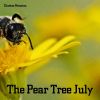 Download track The Pear Tree July