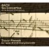 Download track Brandenburg Concerto No. 6 In B - Flat Major, BWV 1051 - II. Adagio Ma Non Tanto