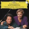 Download track «Winterreise», Op. 89 (D. 911): Nr. 4. «Erstarrung»