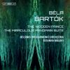 Download track 11 - The Wooden Prince, Op. 13 - Collapse Of The Wooden Prince - Sixth Dance