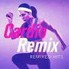 Download track 4 Minutes (Dance Remix)