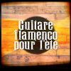 Download track Flamenco Guitar