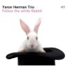Download track Follow The White Rabbit