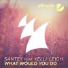 Download track What Would You Do (Extended Mix)